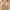 Beige, variant on Tuosodrolic Push Up Bras for Women Wireless Thin Bralette Anti-sagging Comfortable Sports Bras Breathable Everyday Bras