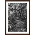 thumbnail image 2 of Art.com Awesome South Africa Collection B&W - African Forest Photographic Print by Philippe Hugonnard, Brown Frame Wall Art, 32" x 44", 2 of 5
