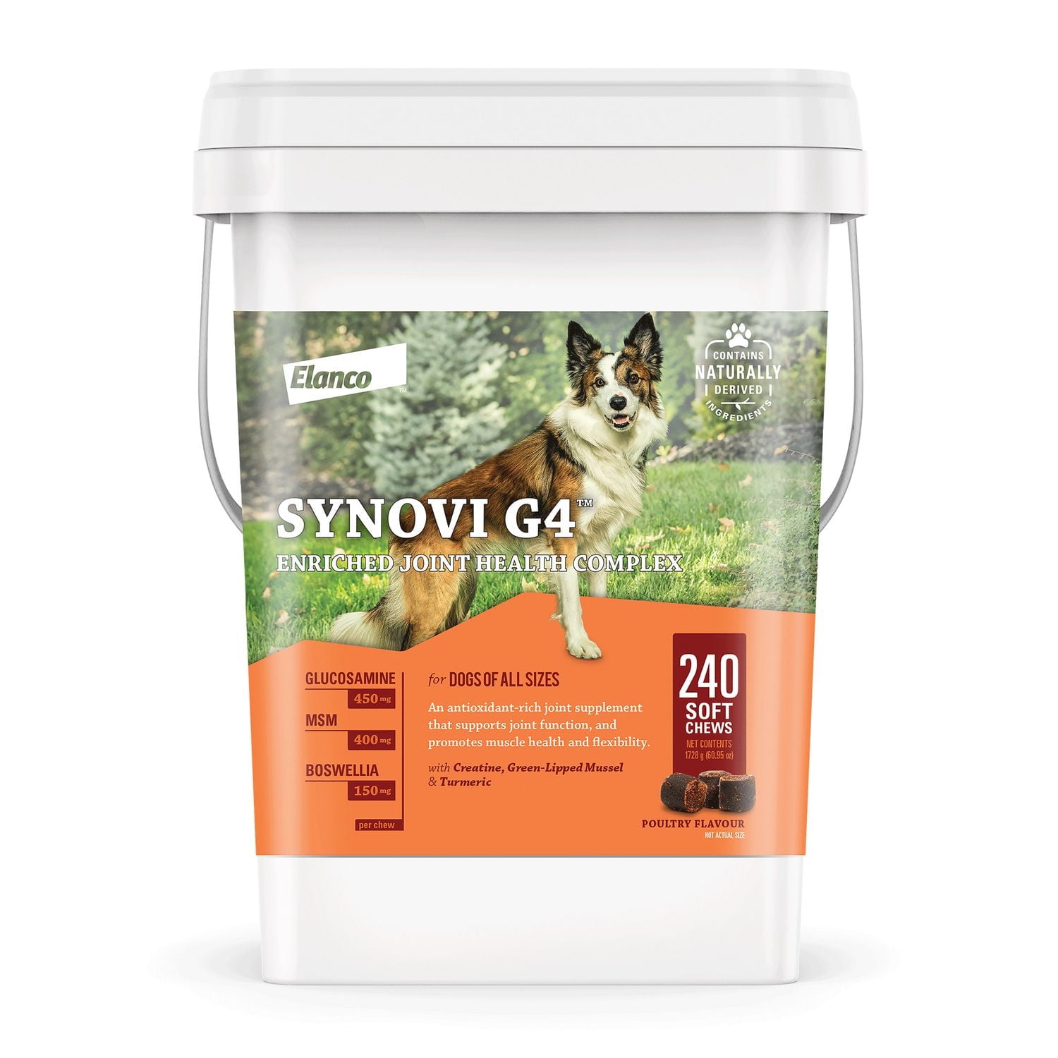 Synovi G4 Dog Joint Supplement Chews for Dogs of All Ages, Sizes and Breeds