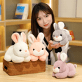 thumbnail image 3 of BREIS Soft Stuffed Animals and Plush Toys, Cotton Pink, 3 of 6