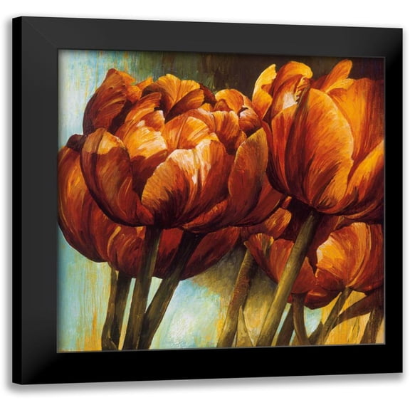 Thompson, Linda 12x12 Black Modern Framed Museum Art Print Titled - Floral Radiance I