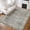 Green, variant on Shininglove Washable Vintage Distressed Area Rug 8' x 10' – Non-Slip Soft Carpet for Living Room, Bedroom, Dining Room & Home Office