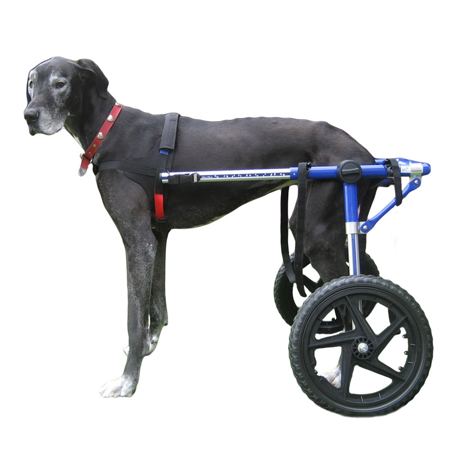 Dog Wheelchair For Large Dogs 70180 lbs Veterinarian Approved