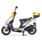 TaoTao Classic 50cc Scooter Moped