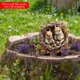 thumbnail image 4 of Series Acrylic Family Gifts Garden Ground Insert Outdoor Potted Decoration, 4 of 6