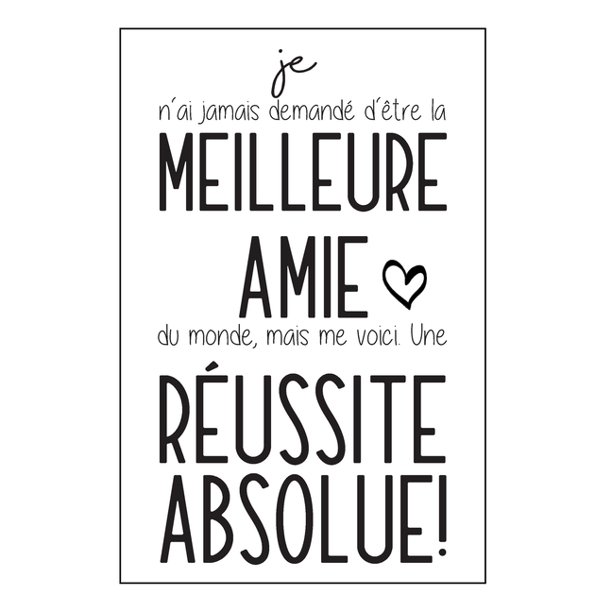 Je N Ai Jamais Demandi D I Tre La Meilleure Amie Du Monde