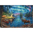 thumbnail image 1 of Dimensions Collection Or Kit de Broderie 16"X11 Pouces-Northern Night (16 Unités), 1 of 2