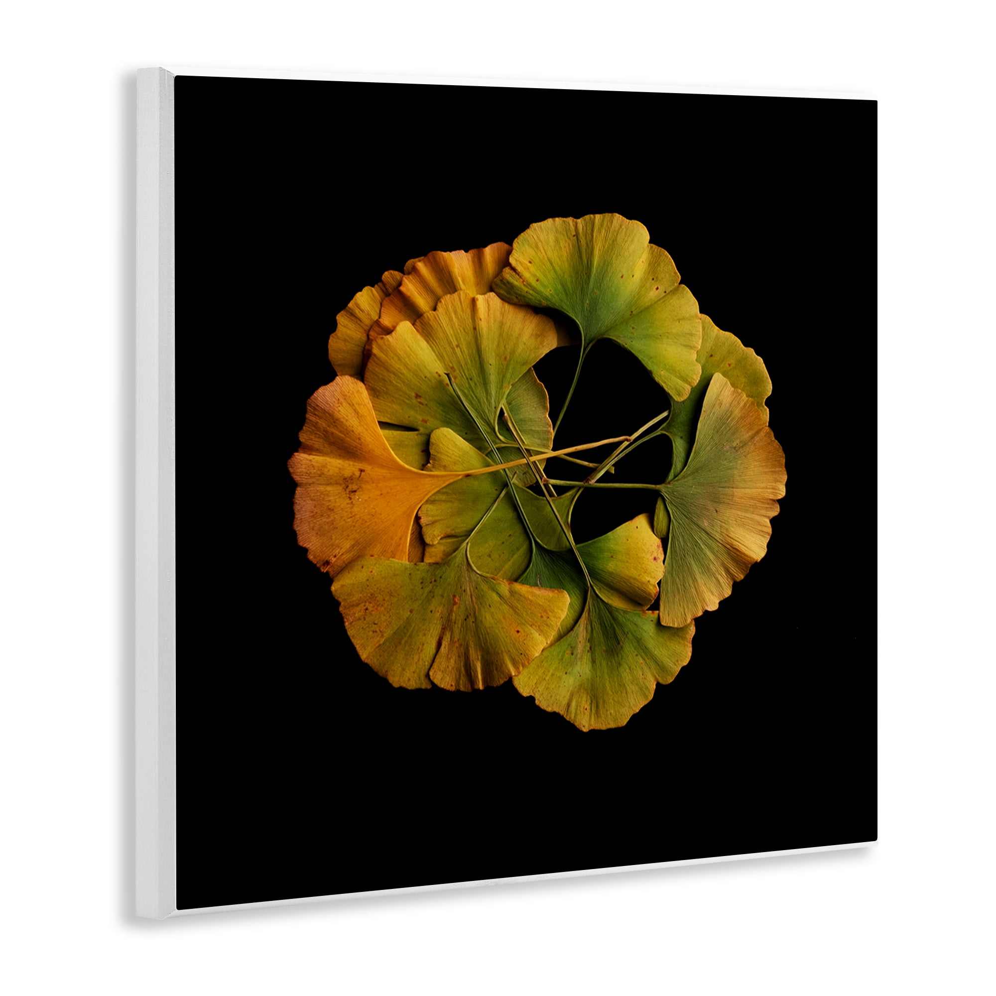 Stupell Industries Overlapping Ginkgo Leaves Wall Plaque Art, design by Beth Adoette