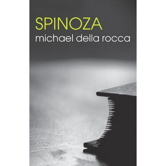 Routledge Philosophers Spinoza, (Paperback)