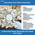 thumbnail image 4 of Natural Organic Sea Shell Mulch for Gardens and Landscaping – Decorative and Nutrient-Rich, 0.5–3-Inch Shells, Perfect for Indoor and Outdoor Use (0.3 CF - 8 L - 9 QTS), 4 of 8