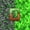Green Brown D, variant on Castle Fairy Pixelated Miners Letter P Queen Sheet Sets 4 Pieces for Kids,Gaming Block Bed Set