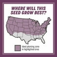 thumbnail image 6 of Pennington Rebels Fescue Shady Lawn Grass Seed 20 Pound, 2 Pack, 6 of 11