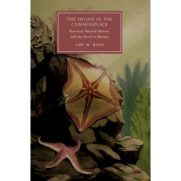 Cambridge Studies in Nineteenth-Century The Divine in the Commonplace, Book 117, (Paperback)