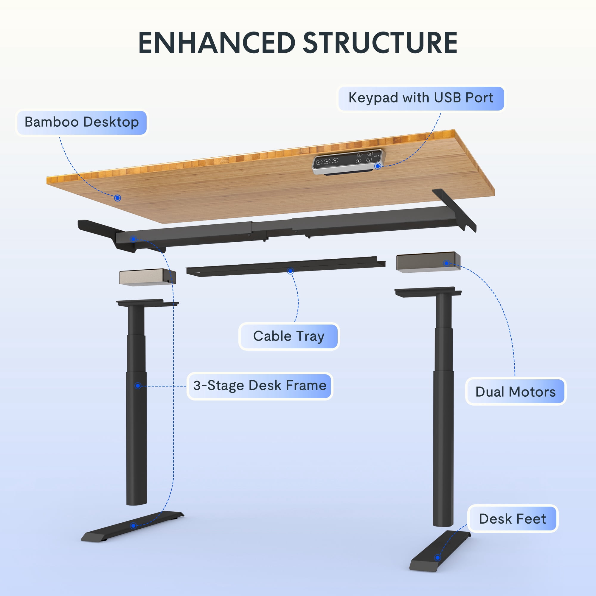 FLEXISPOT 48"x24" Dual Motors 3-Stage Height Adjustable Standing Desk Ergonomic Home Office Sit Stand Desk with USB Port, Bamboo Rectangle Desktop Black Oval Frame