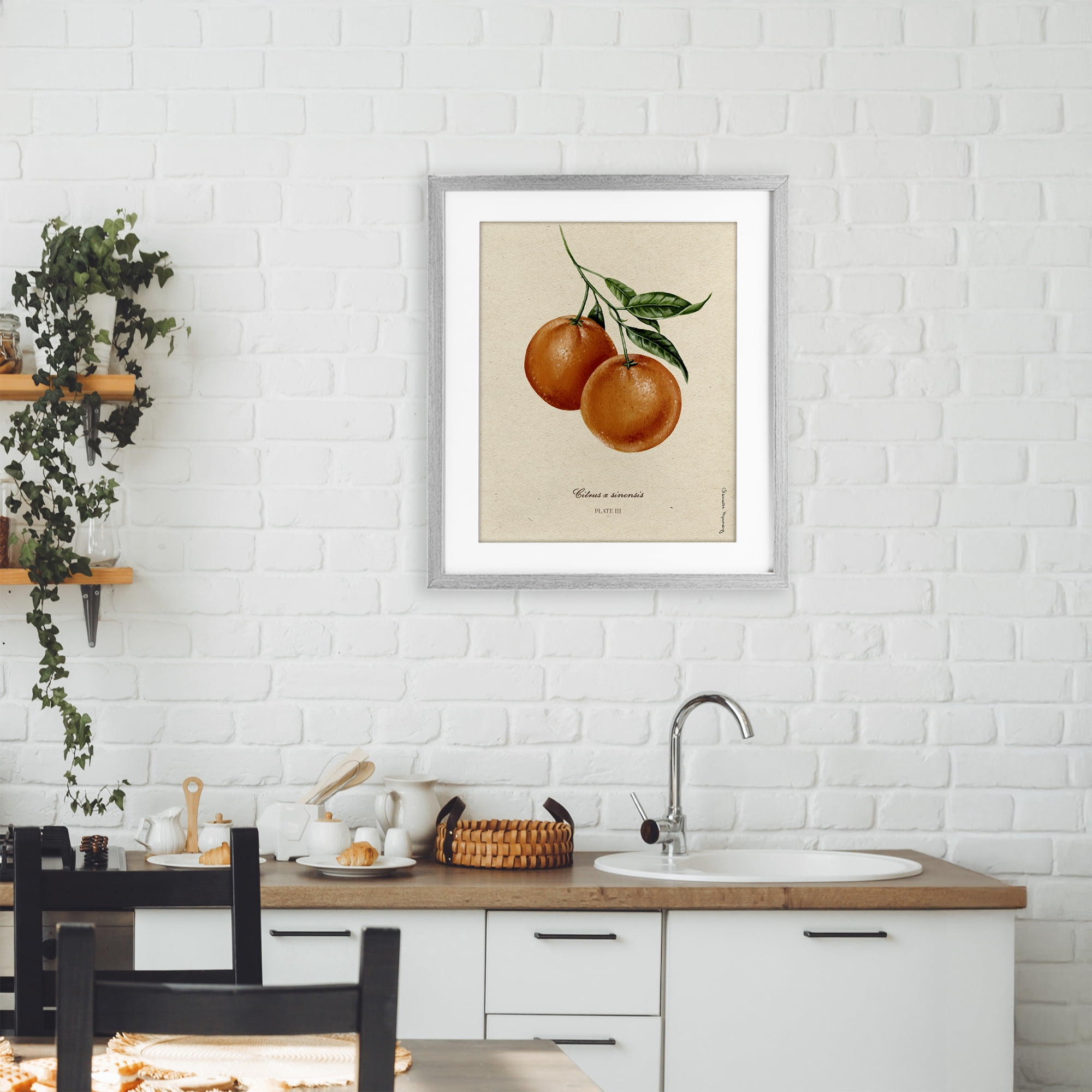Stupell Industries Orange Fruit Portrait Gray Framed Print Under Glass, design by Danielle Murray