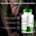 thumbnail image 5 of (3 Pack) Eroboost Supplement, Official Ero Boost Pills, Daily Nutrition for Maximum Performance Support, Extra Strength Capsules for Overall Health, Multivitamins Formula Reviews (180 Capsules), 5 of 6