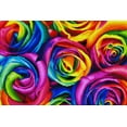 thumbnail image 2 of DIAMOND ART CLUB Rainbow Roses Diamond Painting Kit, 2 of 4