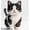 B, variant on QPAZ Cat Lover Building Block Display Set, Cute Cat-Themed Collectible Figures, Creative Desktop Decor Toy Gift