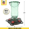 thumbnail image 6 of More Birds Vintage Glass Bottle Hummingbird Feeder, 20-Oz Nectar Capacity, 6 of 12
