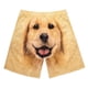 thumbnail image 5 of Pantalones cortos casuales estampados para hombre, transpirables, con cintura elástica, para caminar y bañarse. M, 5 of 9