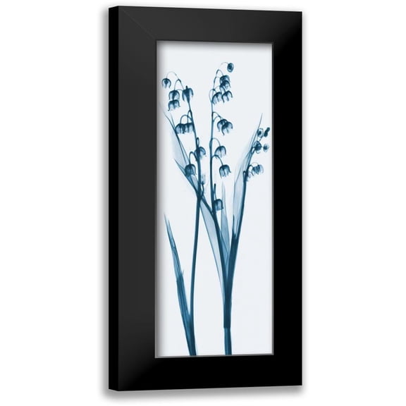 Koetsier, Albert 7x14 Black Modern Framed Museum Art Print Titled - Lily of the Valley in Blue