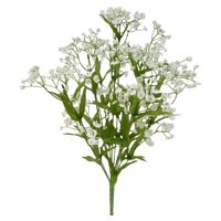 Gypsyphilia Bush Wh