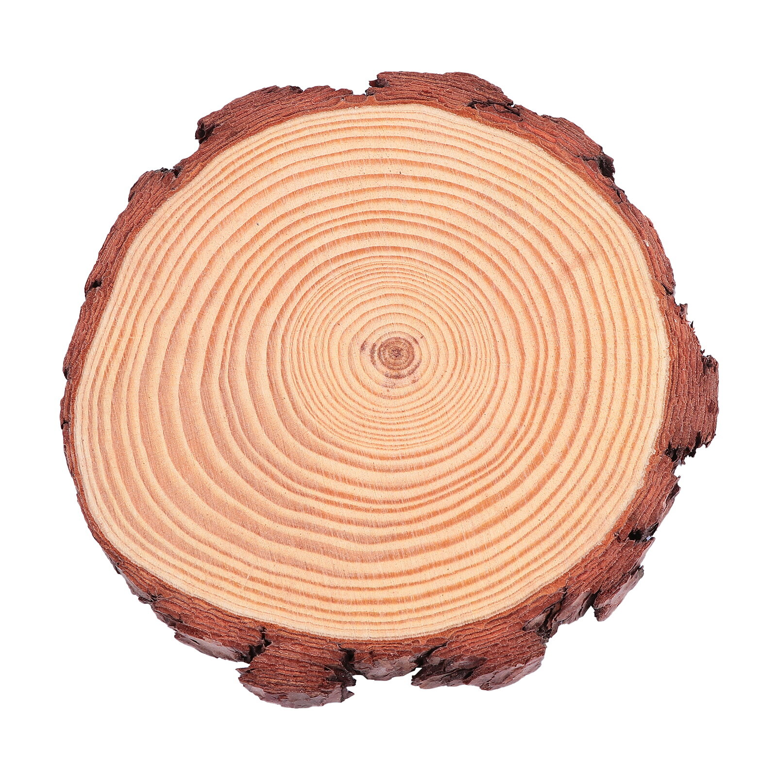 Bulk Wood Slices, B Grade Wood Slices, Imperfect Natural Pine Wood