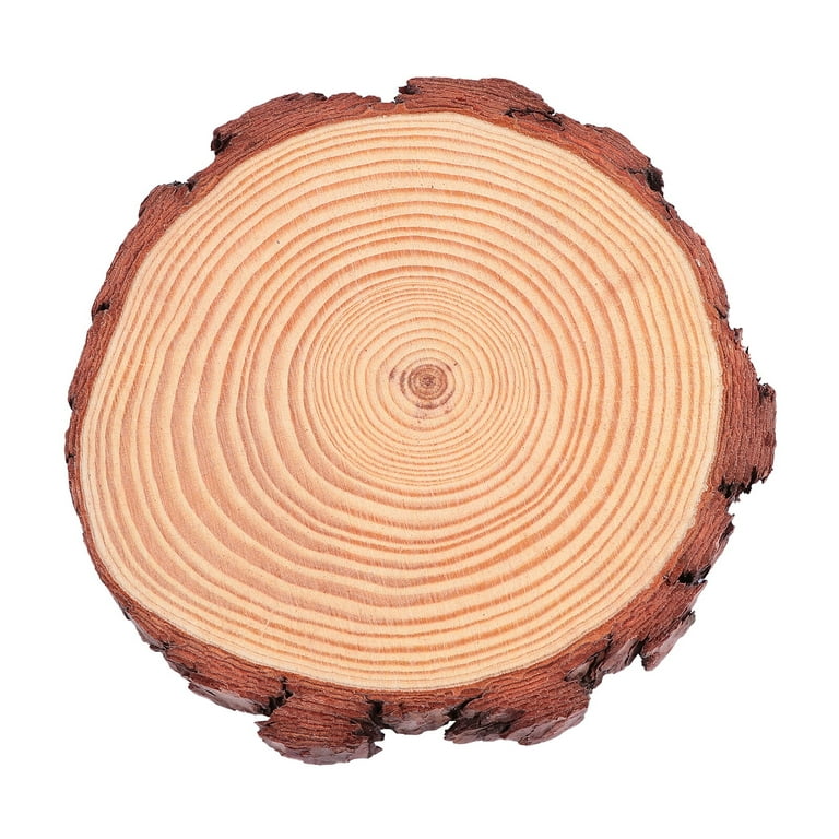 Wooden slices with bark. Piece of natural tree. Large wood slices