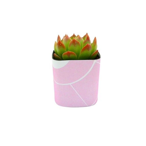 Plants Of Joy Pink Wrappers Print Succulent Wraps for Weddings, Baby Shower, and Party Favors. 25 Count Pack.