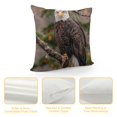thumbnail image 4 of Orinice Bald Eagle Graphic Decorative Cushion Throw Pillow Cover for Home Couch Living Room  Car Couch Bedroom, Short Plush 1PC 18x18in, 4 of 5