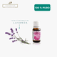 thumbnail image 3 of Aceite Esencial de Lavanda ARBORA 100% Puro, 3 of 4