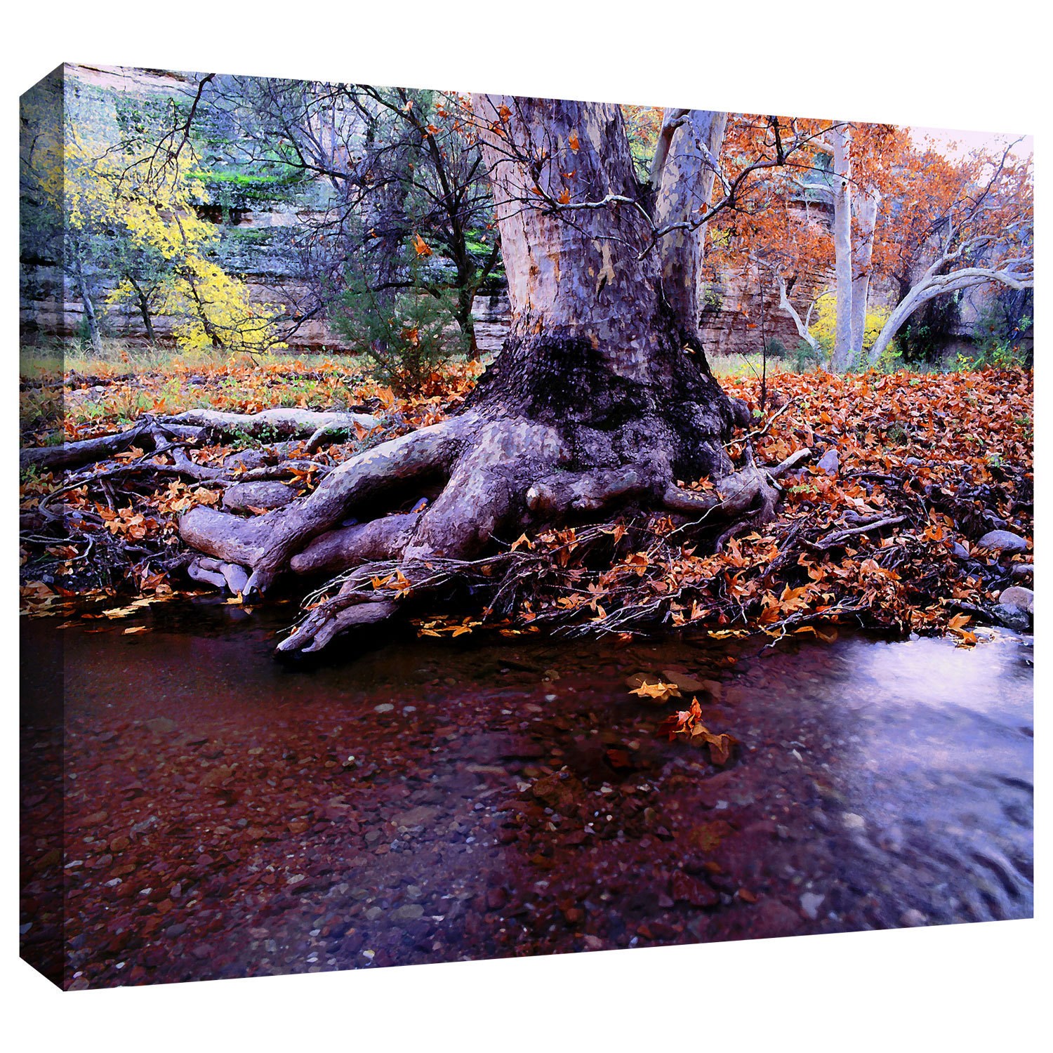 Dean Uhlinger "Aravaipa Canyon Creek" Gallery-Wrapped Canvas