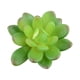 thumbnail image 4 of Mini suculentas Toystoory 10 piezas plantas simuladas decorativas PVC, 4 of 6