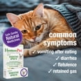 thumbnail image 3 of HomeoPet Feline DIGESTIVE UPSETS Digestive Health Support Drops for Cats, 15 mL, 3 of 7
