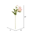 thumbnail image 3 of Vickerman FD180479 25 Po. Clematis Rose, 3 of 3