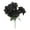 Black, variant on FXMLRLK 1 Pc Artificial Poinsettia Flowers Wedding Flowers Ornaments Glitter Faux Flowers 5 Stem Poinsettia Floral with Stem Leaf for Home Party Christmas DIY Craft Holiday Decor, Rose Gold