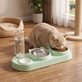 thumbnail image 4 of 3 in 1 Cat Bowl,Cat Food and Water Bowl Set with Water Dispenser and Stainless Steel Bowls,Double Bowls Design,15-degree Tilted Pet Feeder,Green, 4 of 6