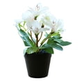 thumbnail image 1 of Flor falsa magnolia hortensia pequeño bonsái decoración creativa decoración de flores flor artificial simulación planta verde planta en maceta, 1 of 5