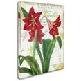 thumbnail image 2 of Trademark Fine Art "Peppermint Amaryllis" Canvas Art by Color Bakery, 2 of 3