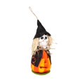 thumbnail image 1 of Esqueleto De Bruja Con Luces Adornos De Halloween Colgante Luminoso Para Estantes De Chimeneas De Ventanas Scienceny HA041397-02, 1 of 6