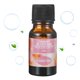 thumbnail image 1 of Humidificador Aceite Esencial Ambientador Aromaterapia Difusor Aceites 10ML Persistente S, 1 of 9