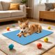 thumbnail image 4 of Alfombrilla Refrescante para Mascotas (Perros y Gatos) con Base Antideslizante – Cama Portátil Autoenfriadora para Jaula, Sofá, Suelo, Asiento de Coche – Almohadilla de Hielo Lavable para Alivio En C, 4 of 6