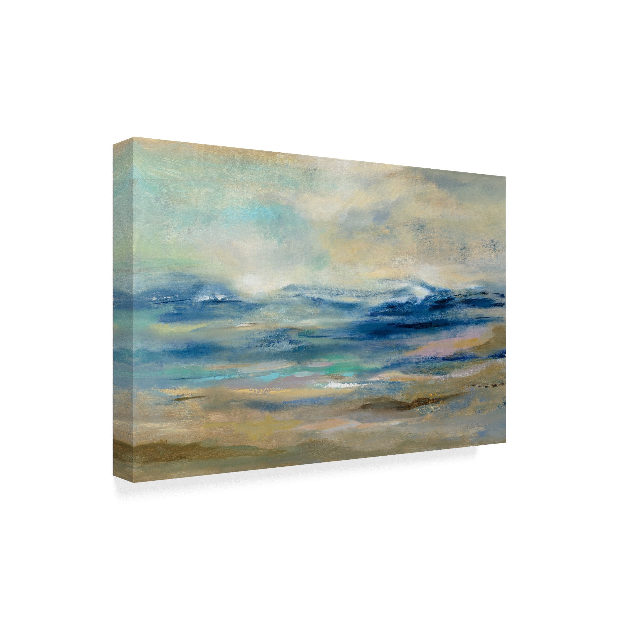 Trademark Fine Art 'Whispering Wave' Canvas Art by Silvia Vassileva
