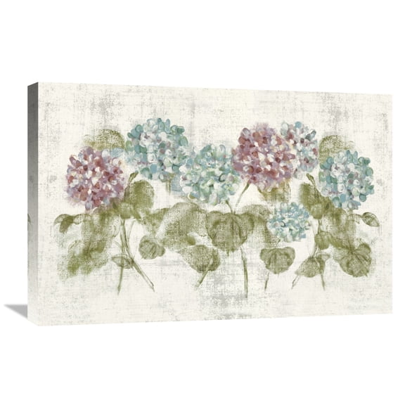 Global Gallery Cheri Blum 'Vibrant Row of Hydrangea No Border' Canvas Wall Art