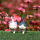 thumbnail image 4 of 12Pcs Artificial Moss Fake Moss Grass Sheets Garden Artificial Grass Decor, 4 of 4