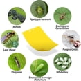 thumbnail image 5 of 20-Pack Dual-Sided Yellow Sticky Traps for Flying Plant Insect Such as Fungus Gnats, Whiteflies, Aphids, Leafminers,Thrips - (6x8 Inches, Included 20pcs Packing Ropes), 5 of 8