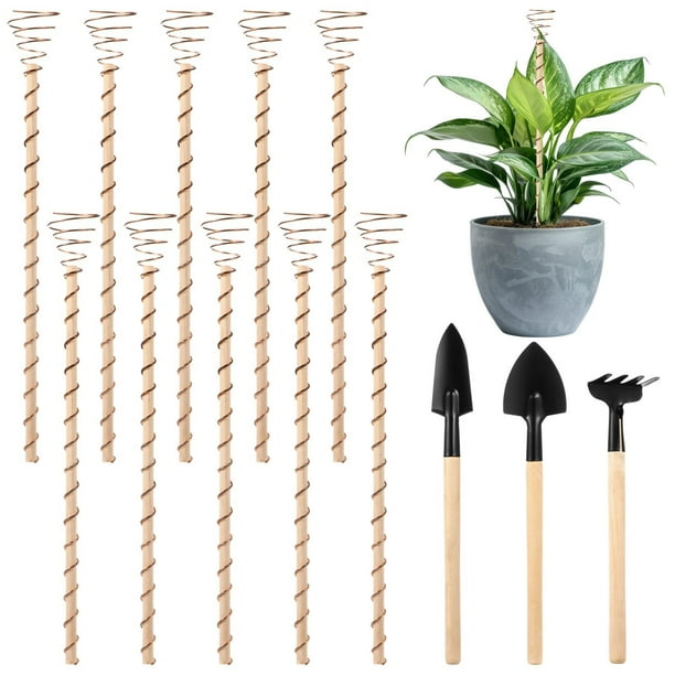 10 antenas de jardinería de cobre electrocultivo, estacas de plantas de 11,8 pulgadas de largo con 3 herramientas de jardín, estacas de jardín de cobre 99,9% puro para jardinería de plantas de interio