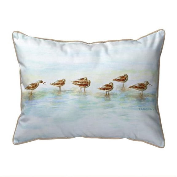 11 x 14 in. Avocets Small Indoor & Outdoor Pillow