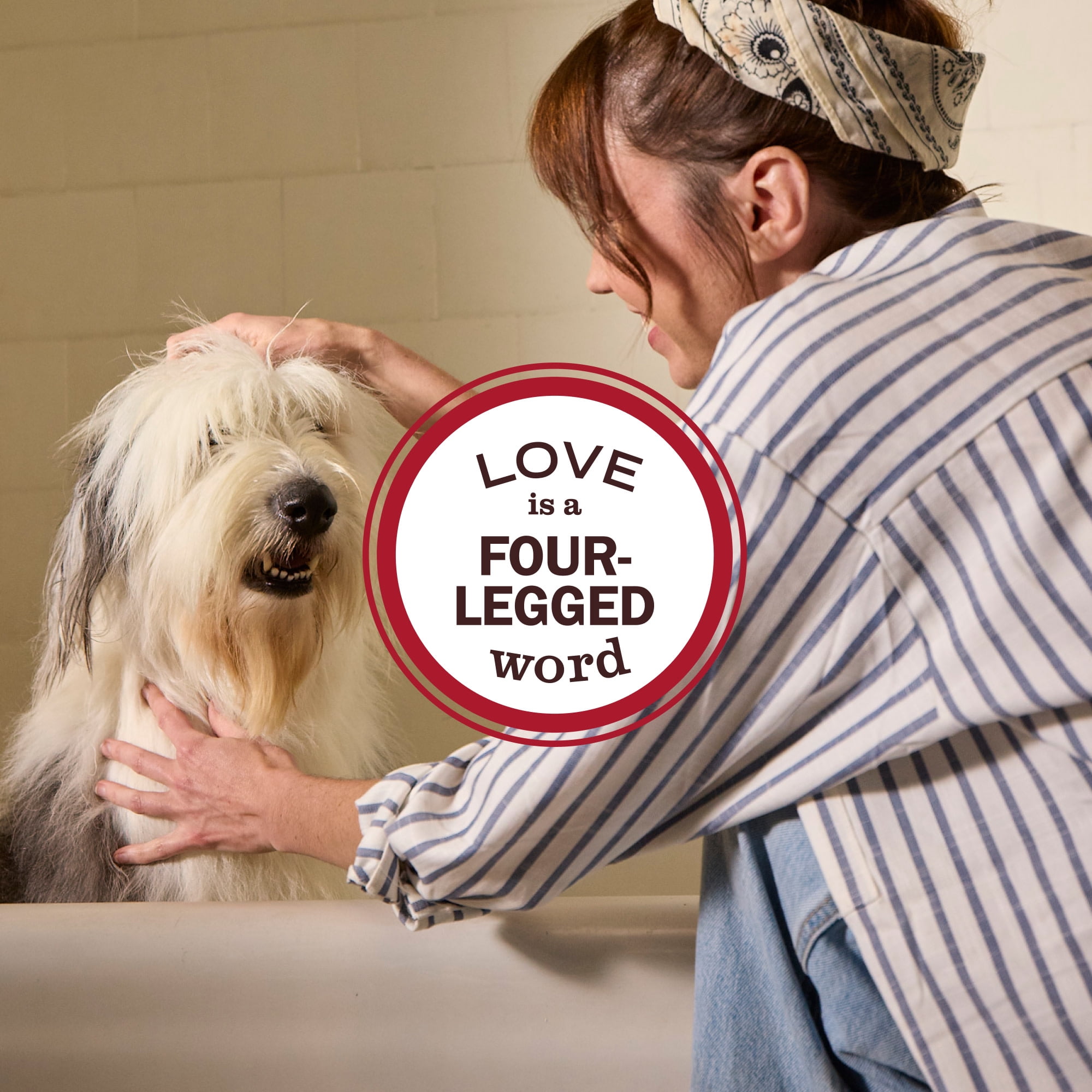 Mrs. Meyer's Clean Day 3 in 1 Dog Shampoo, White Peach Scent, 14oz