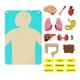 thumbnail image 4 of Kits de juegos interactivos educativos de órgano corporal, rompecabezas de estructura del cuerpo humano para colgar en la pared para niños en edad, 4 of 9